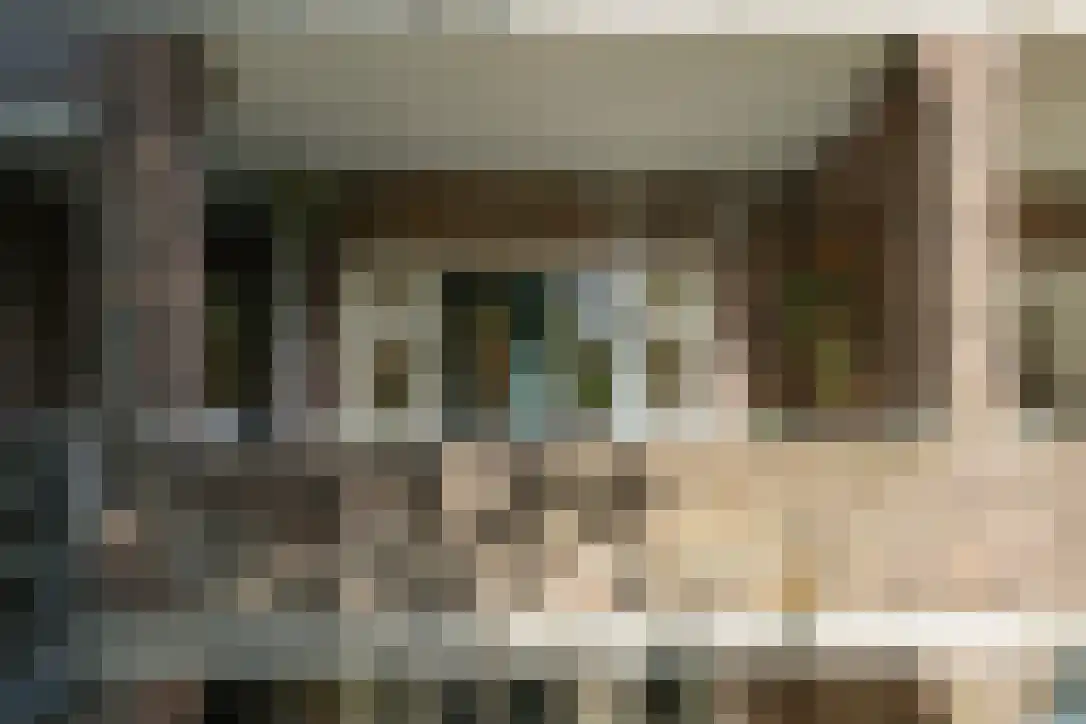 Van Brakelstraat 11 Utrecht thumbnail 45