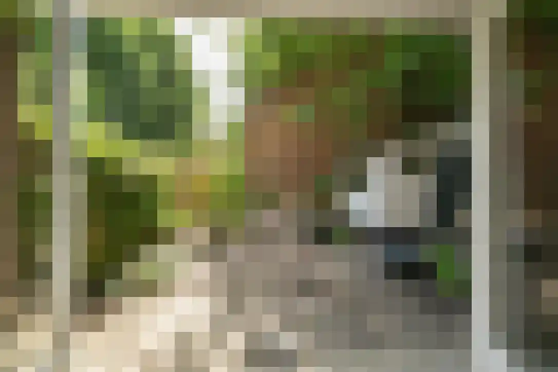 Van Brakelstraat 11 Utrecht thumbnail 56