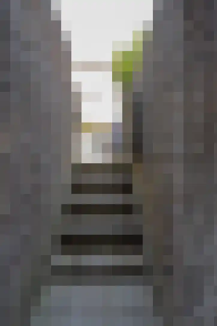 Van Brakelstraat 11 Utrecht thumbnail 65