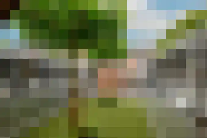 Van Brakelstraat 12 Maasdijk thumbnail 10