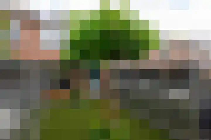 Van Brakelstraat 12 Maasdijk thumbnail 11