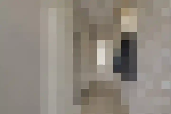 Van Brakelstraat 12 Maasdijk thumbnail 13