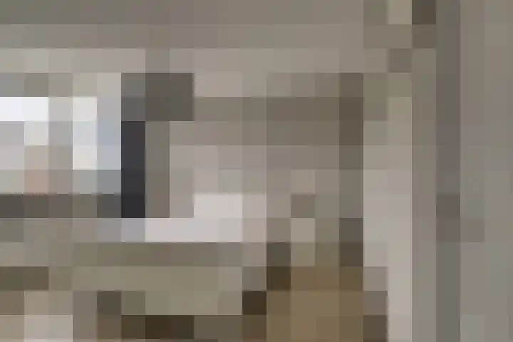 Van Brakelstraat 12 Maasdijk thumbnail 15
