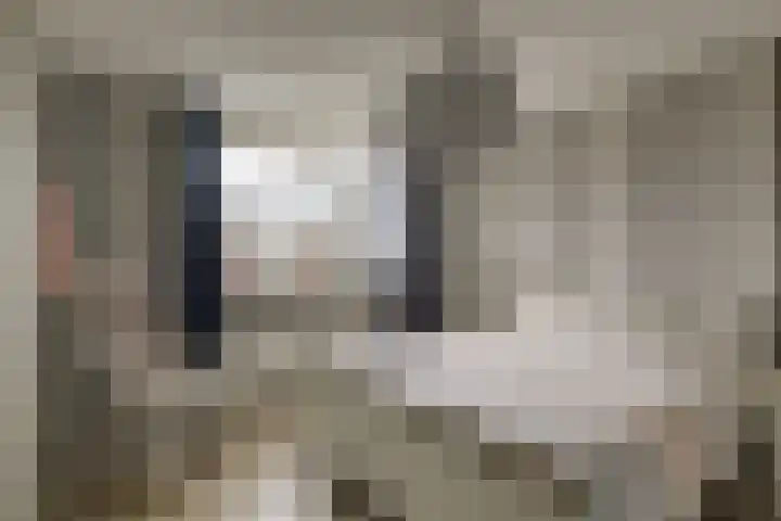 Van Brakelstraat 12 Maasdijk thumbnail 16