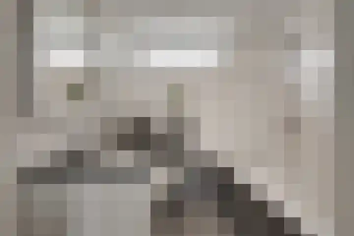 Van Brakelstraat 12 Maasdijk thumbnail 18