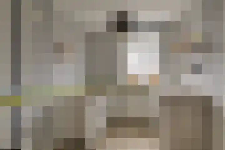 Van Brakelstraat 12 Maasdijk thumbnail 19