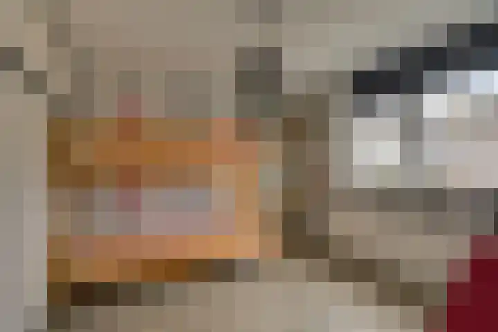 Van Brakelstraat 12 Maasdijk thumbnail 20