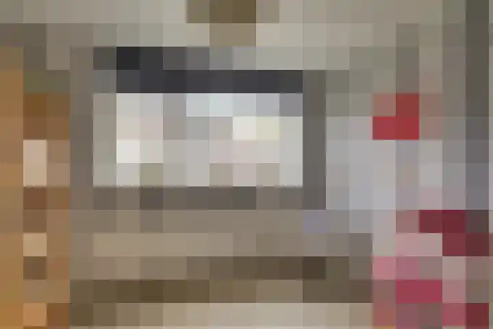 Van Brakelstraat 12 Maasdijk thumbnail 21