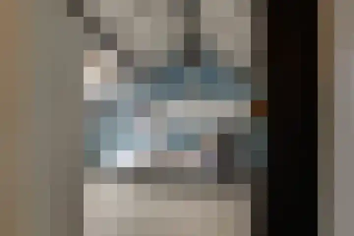 Van Brakelstraat 12 Maasdijk thumbnail 22