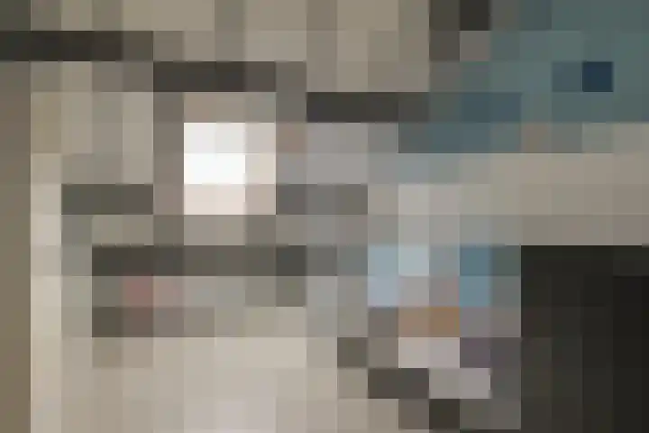 Van Brakelstraat 12 Maasdijk thumbnail 23