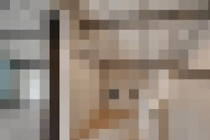 Van Brakelstraat 12 Maasdijk thumbnail 25