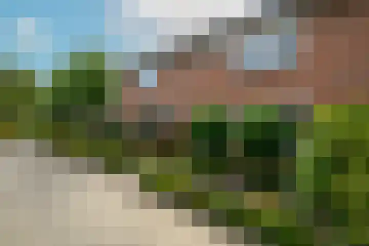 Van Brakelstraat 12 Maasdijk thumbnail 26