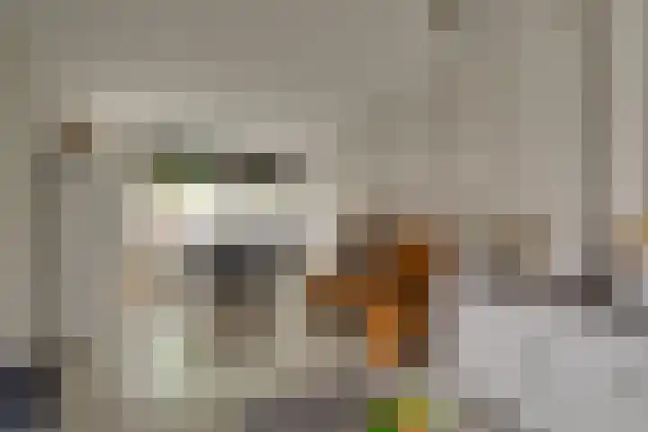 Van Brakelstraat 12 Maasdijk thumbnail 4