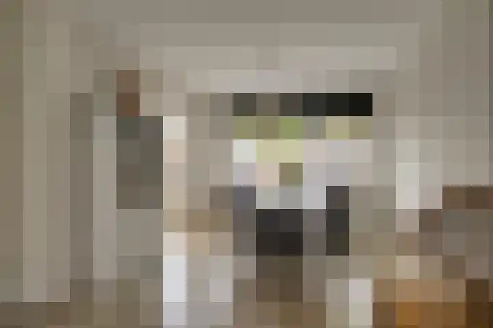 Van Brakelstraat 12 Maasdijk thumbnail 5