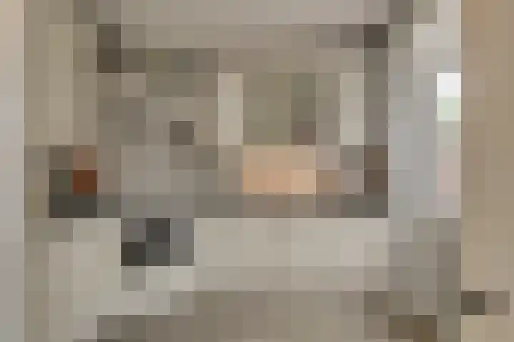 Van Brakelstraat 12 Maasdijk thumbnail 6