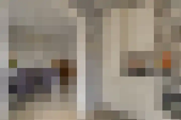 Van Brakelstraat 12 Maasdijk thumbnail 7
