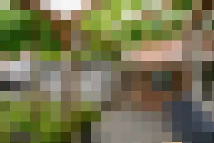 Van Brakelstraat 12 Maasdijk thumbnail 8