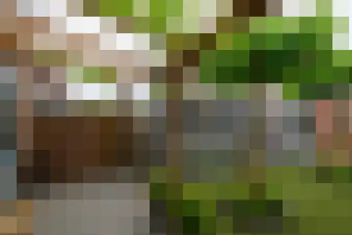 Van Brakelstraat 12 Maasdijk thumbnail 9