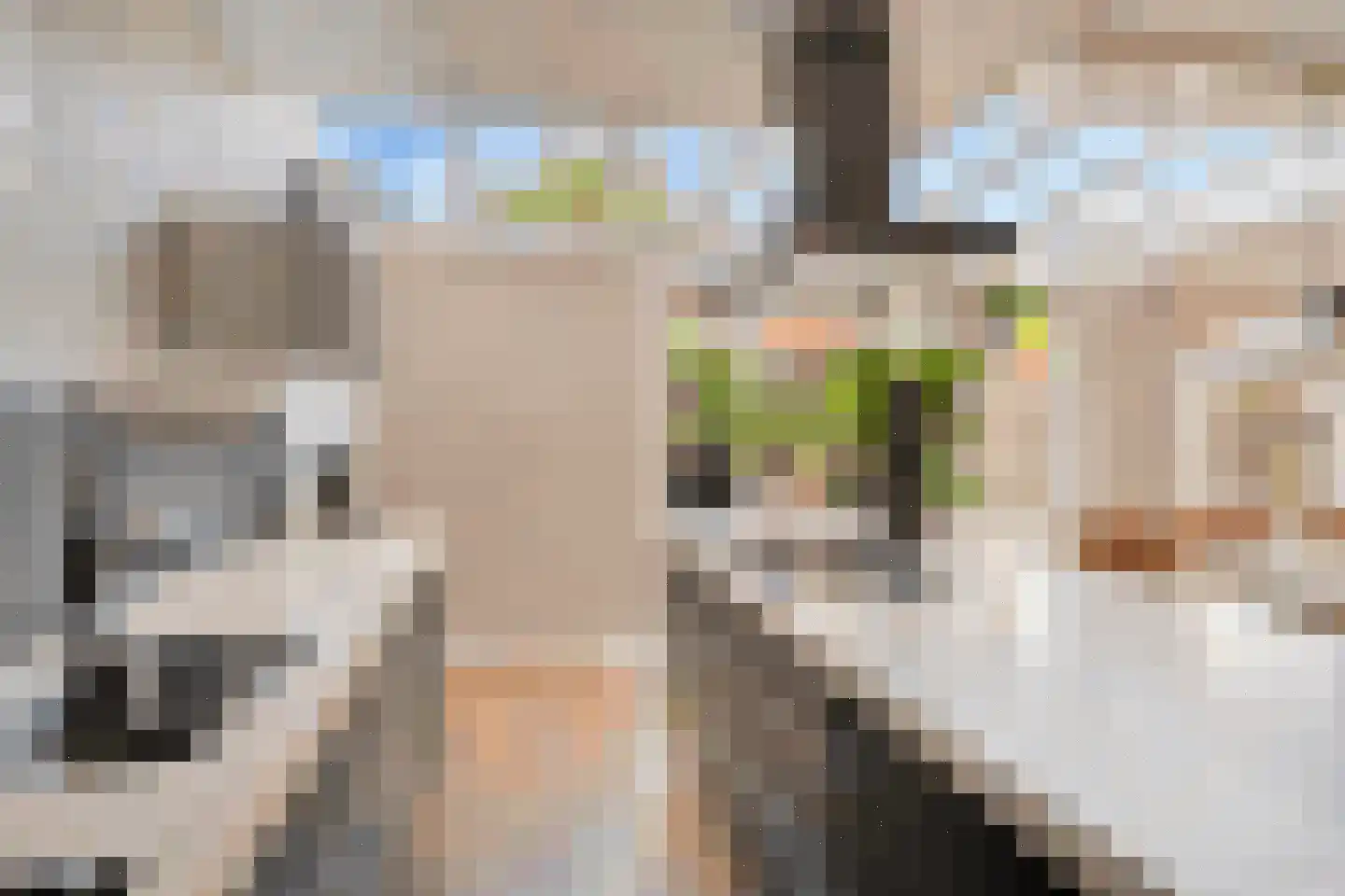 Van Brakelstraat 14 Borne thumbnail 12
