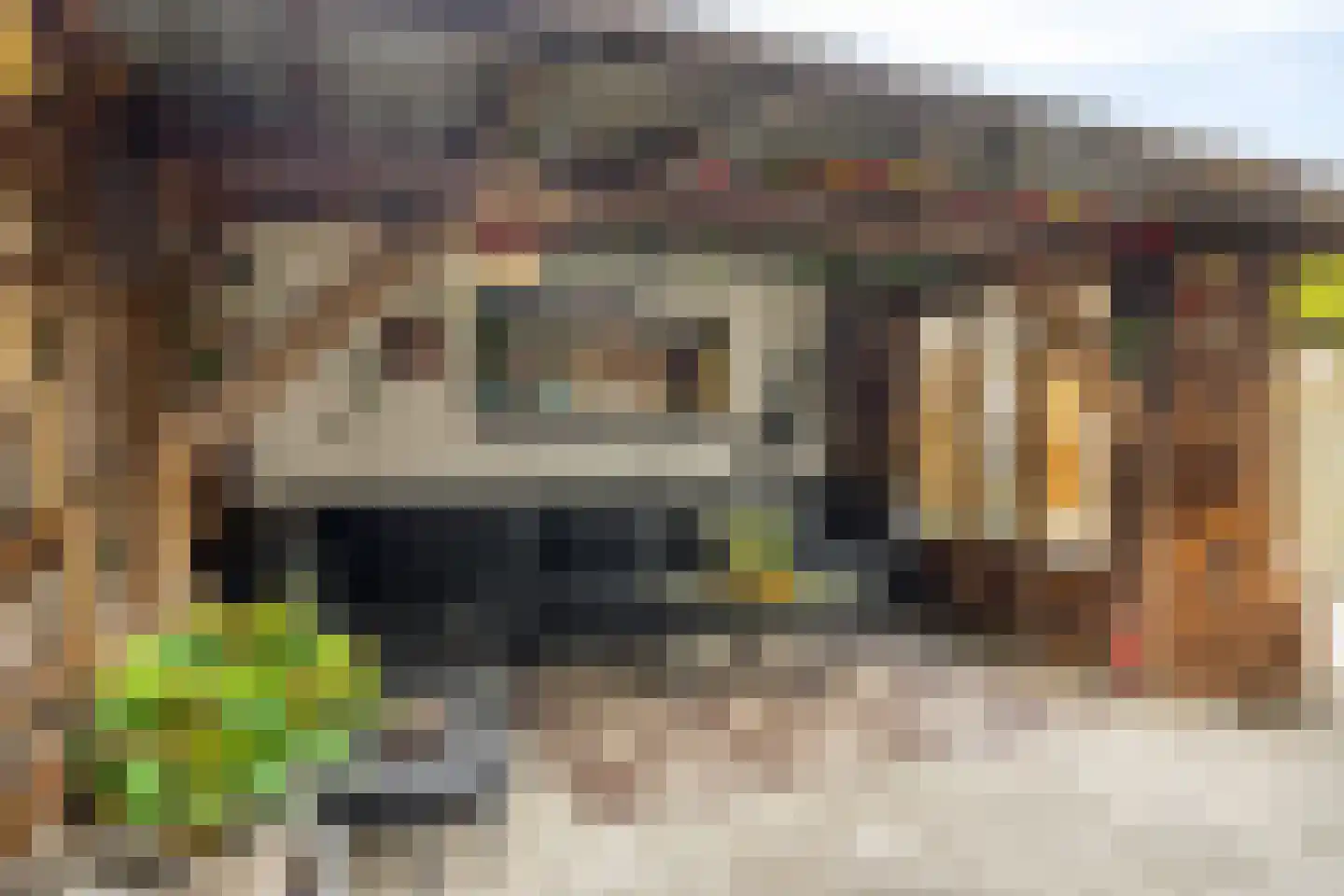 Van Brakelstraat 14 Borne thumbnail 23