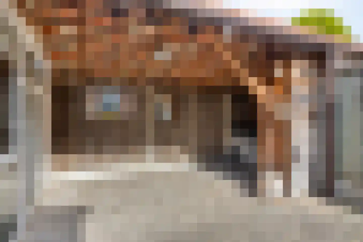 Van Brakelstraat 14 Borne thumbnail 24