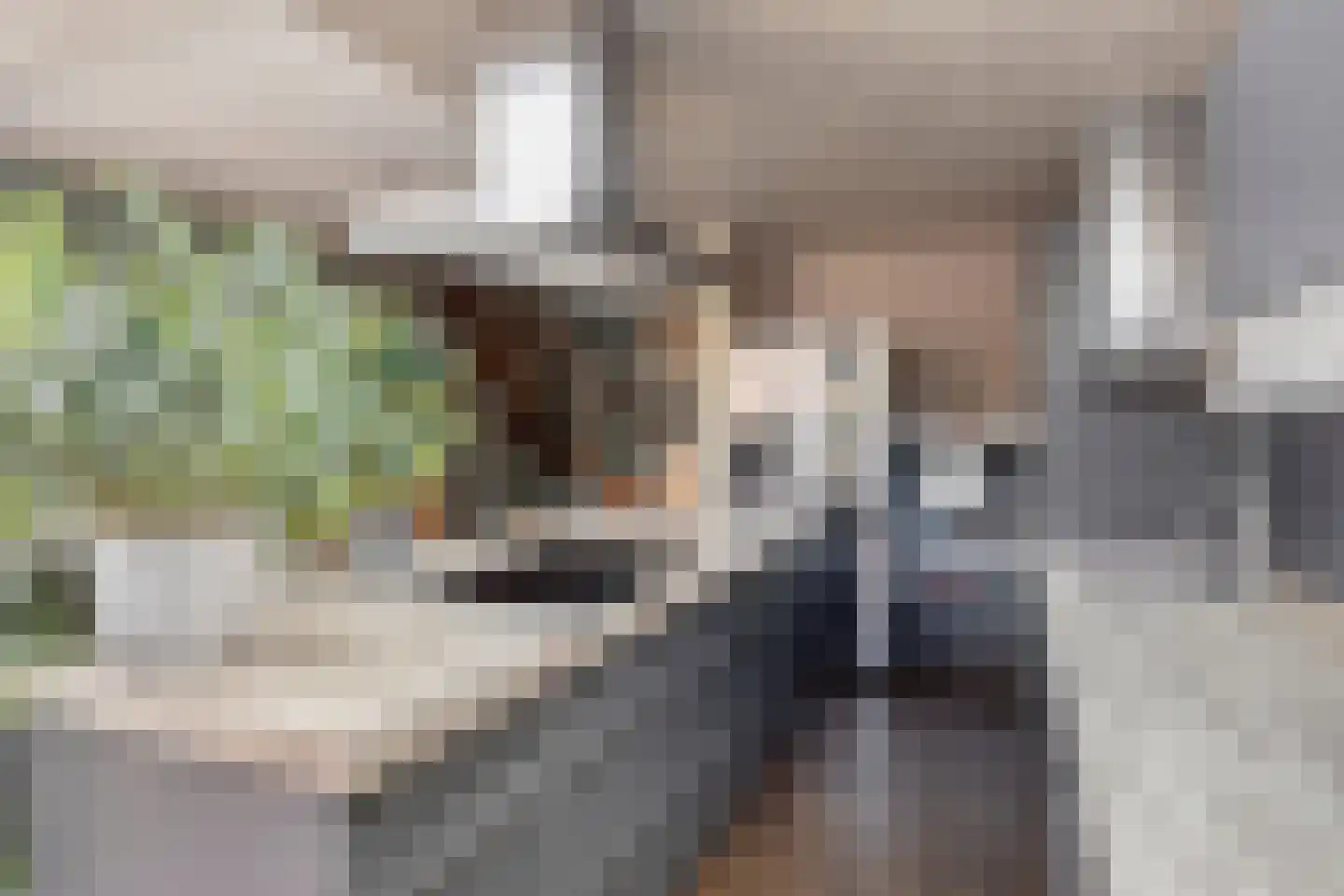 Van Brakelstraat 14 Borne thumbnail 4