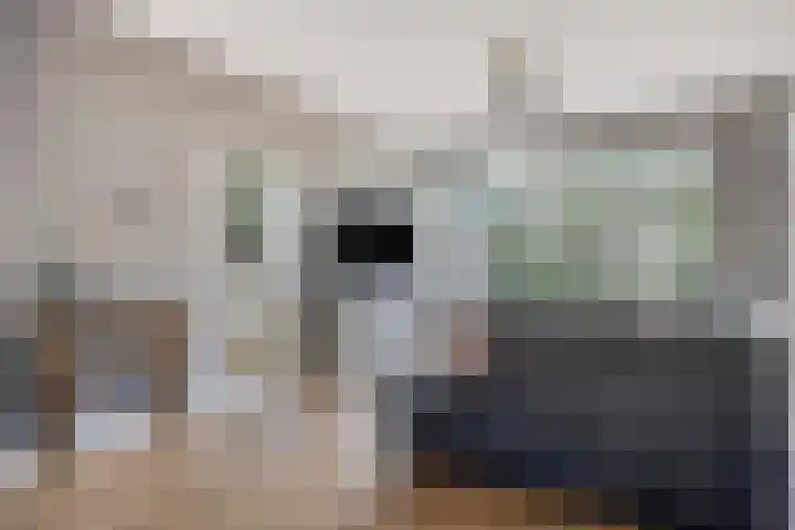 van Brakelstraat 2 Son en Breugel thumbnail 10