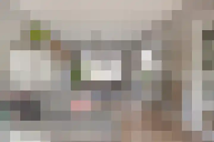 van Brakelstraat 2 Son en Breugel thumbnail 12