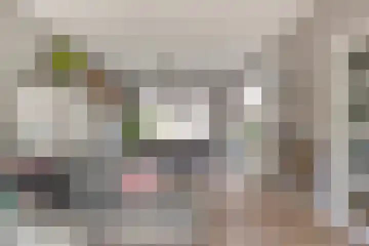 van Brakelstraat 2 Son en Breugel thumbnail 13