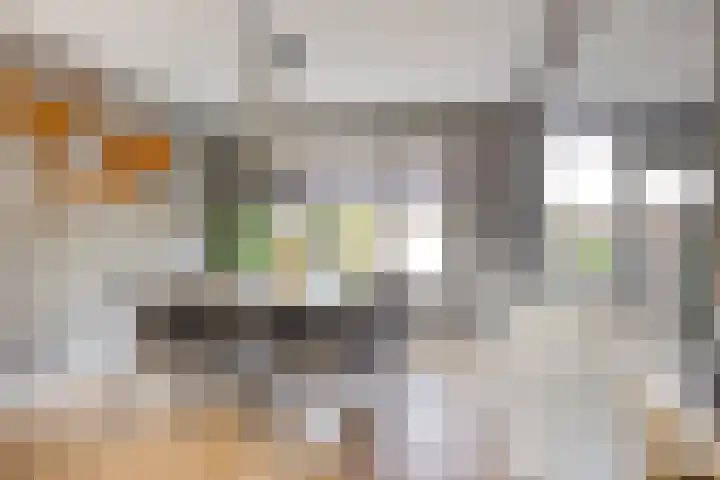 van Brakelstraat 2 Son en Breugel thumbnail 14