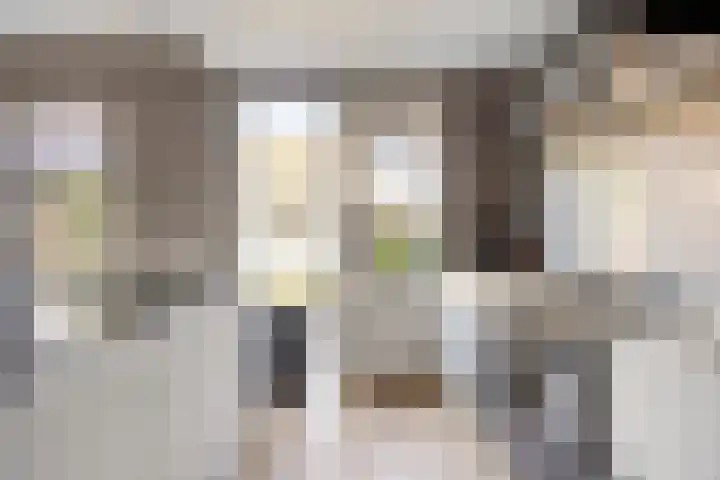 van Brakelstraat 2 Son en Breugel thumbnail 17
