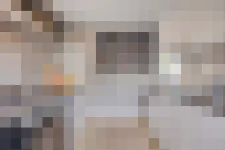 van Brakelstraat 2 Son en Breugel thumbnail 18