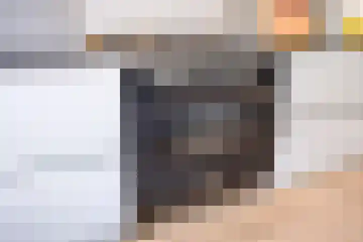 van Brakelstraat 2 Son en Breugel thumbnail 19