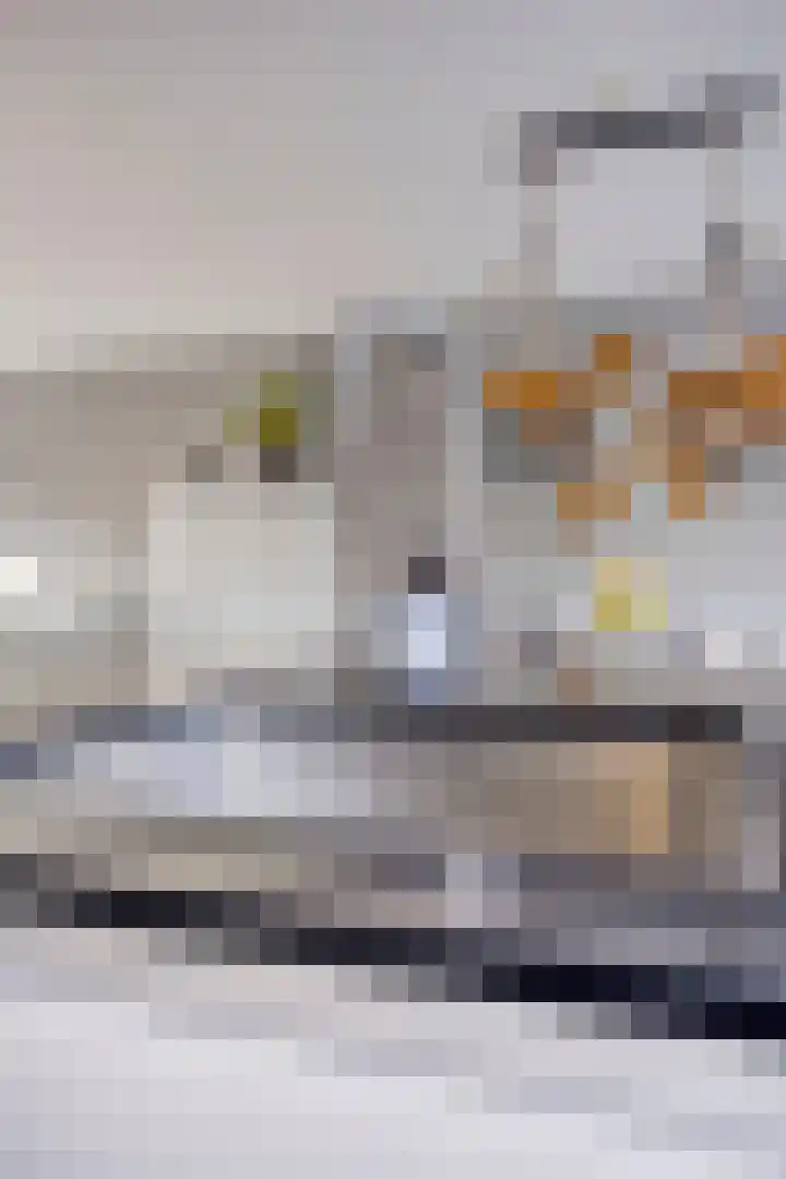 van Brakelstraat 2 Son en Breugel thumbnail 20