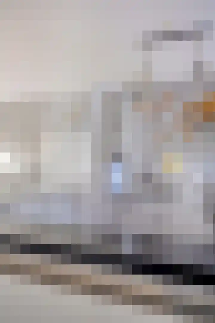 van Brakelstraat 2 Son en Breugel thumbnail 21