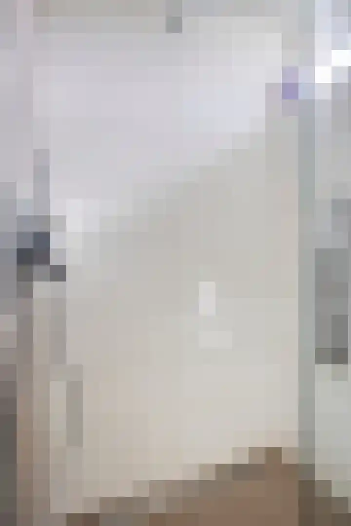 van Brakelstraat 2 Son en Breugel thumbnail 36