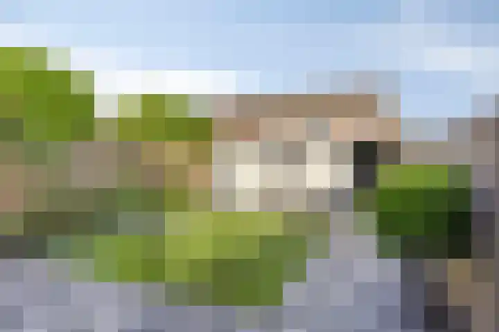 van Brakelstraat 2 Son en Breugel thumbnail 46