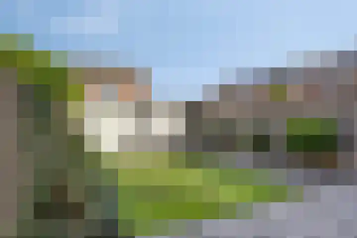 van Brakelstraat 2 Son en Breugel thumbnail 47