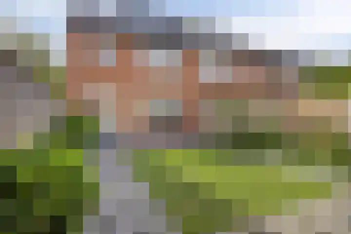 van Brakelstraat 2 Son en Breugel thumbnail 48