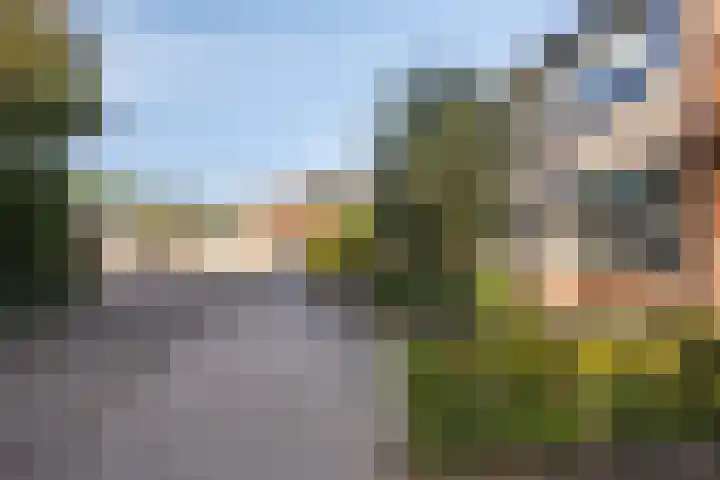 van Brakelstraat 2 Son en Breugel thumbnail 5