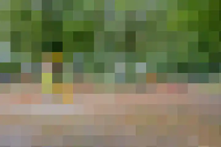 van Brakelstraat 2 Son en Breugel thumbnail 50