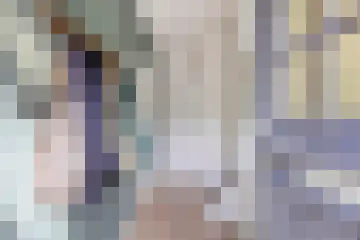 van Brakelstraat 2 Son en Breugel thumbnail 6