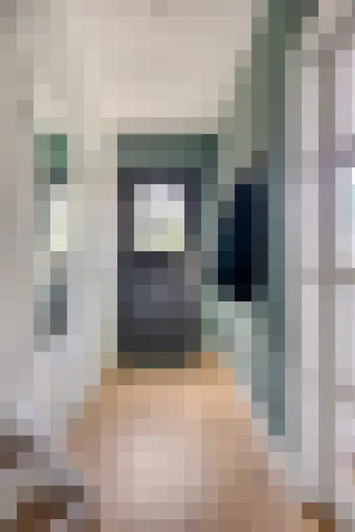 van Brakelstraat 2 Son en Breugel thumbnail 7