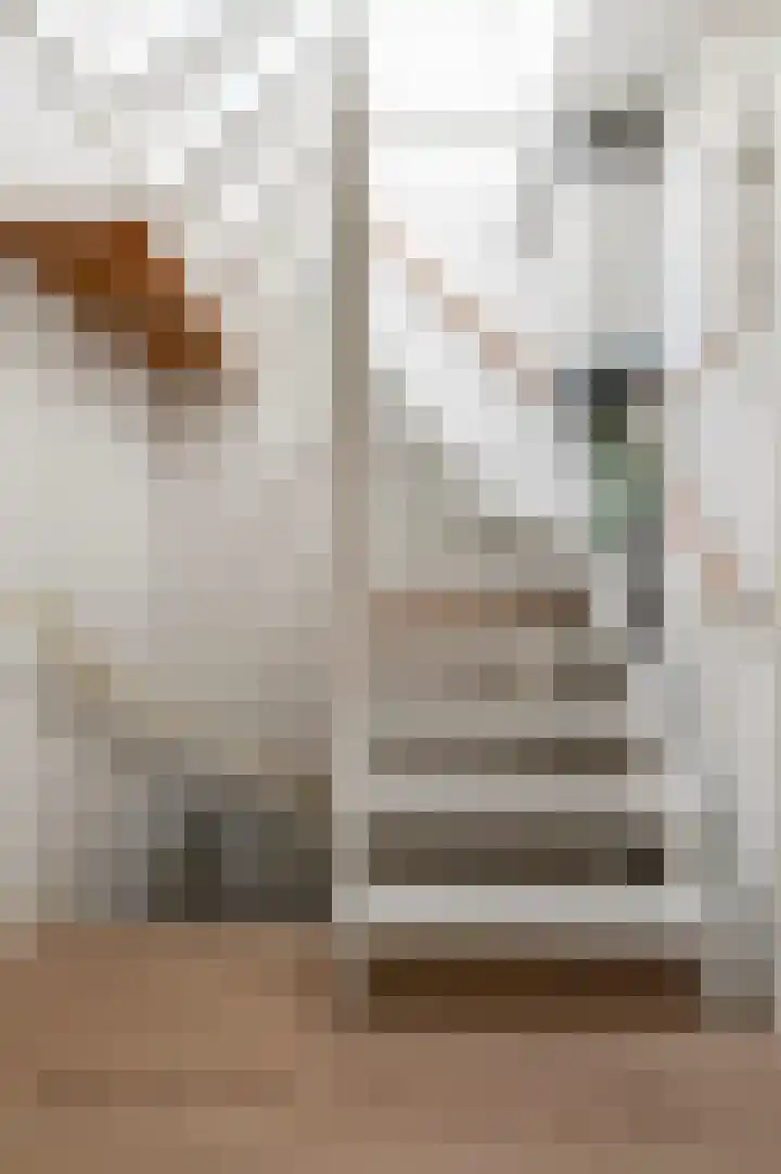 Van Brakelstraat 23 BS Utrecht thumbnail 44