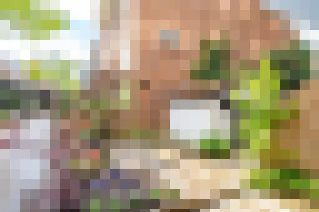 Van Brakelstraat 23 Utrecht thumbnail 10