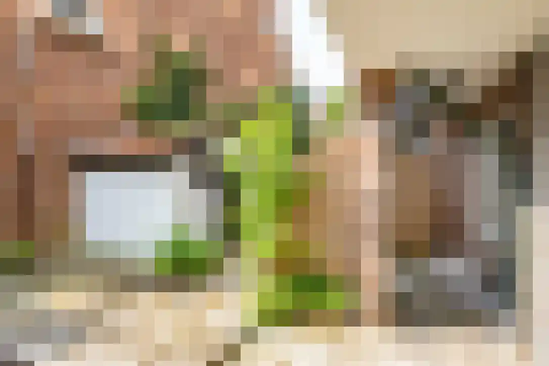 Van Brakelstraat 23 Utrecht thumbnail 11