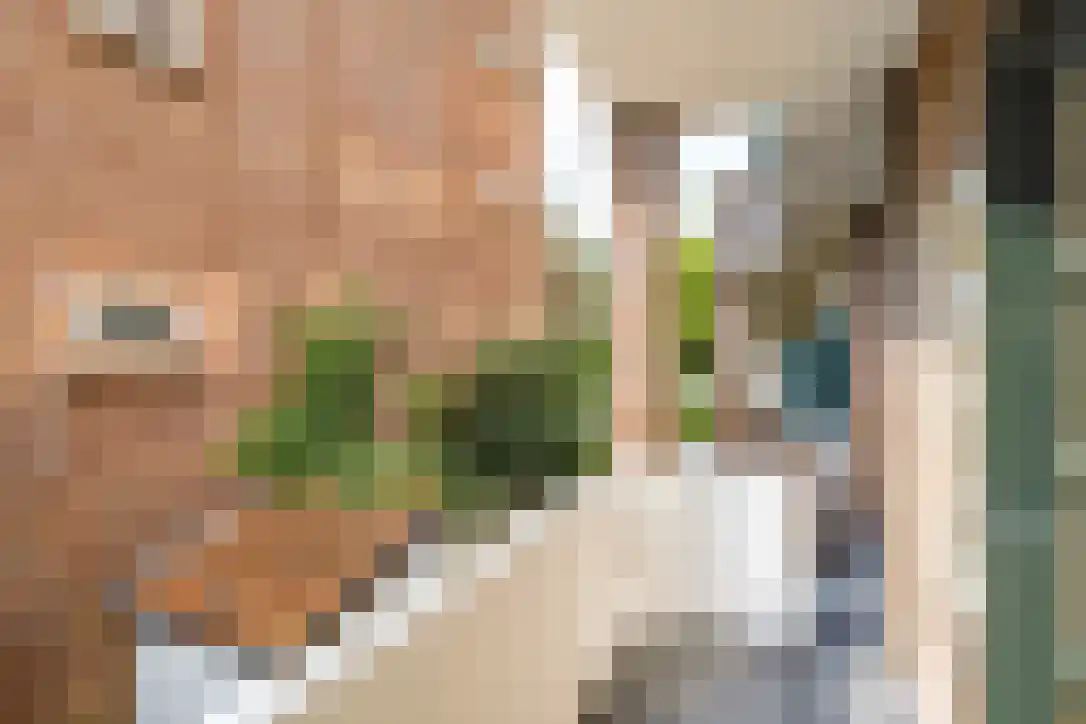 Van Brakelstraat 23 Utrecht thumbnail 16