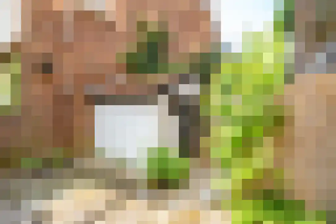 Van Brakelstraat 23 Utrecht thumbnail 19