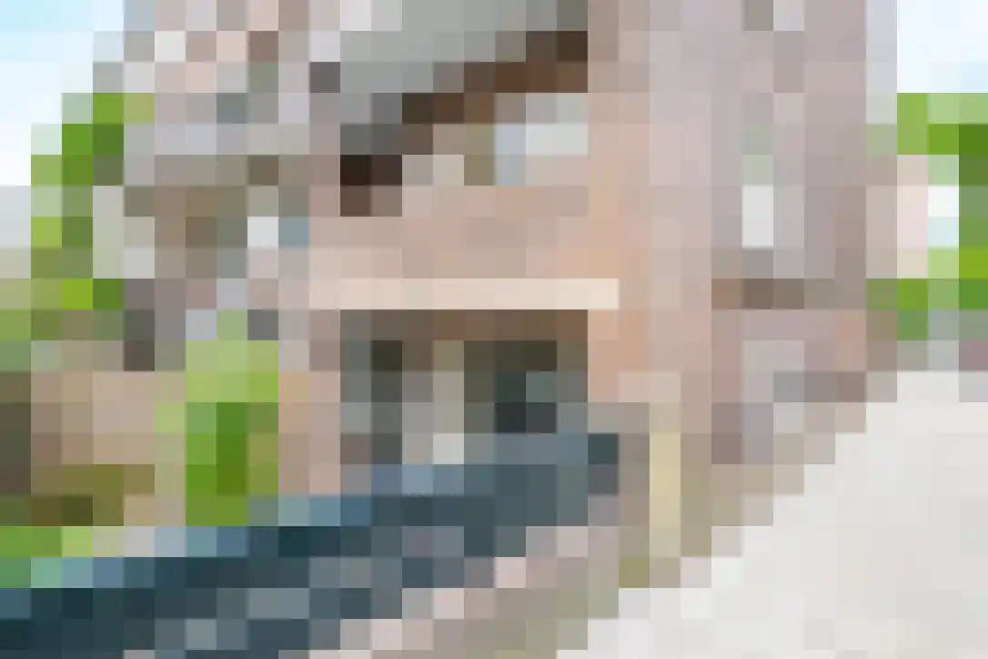 Van Brakelstraat 23 Utrecht thumbnail 24