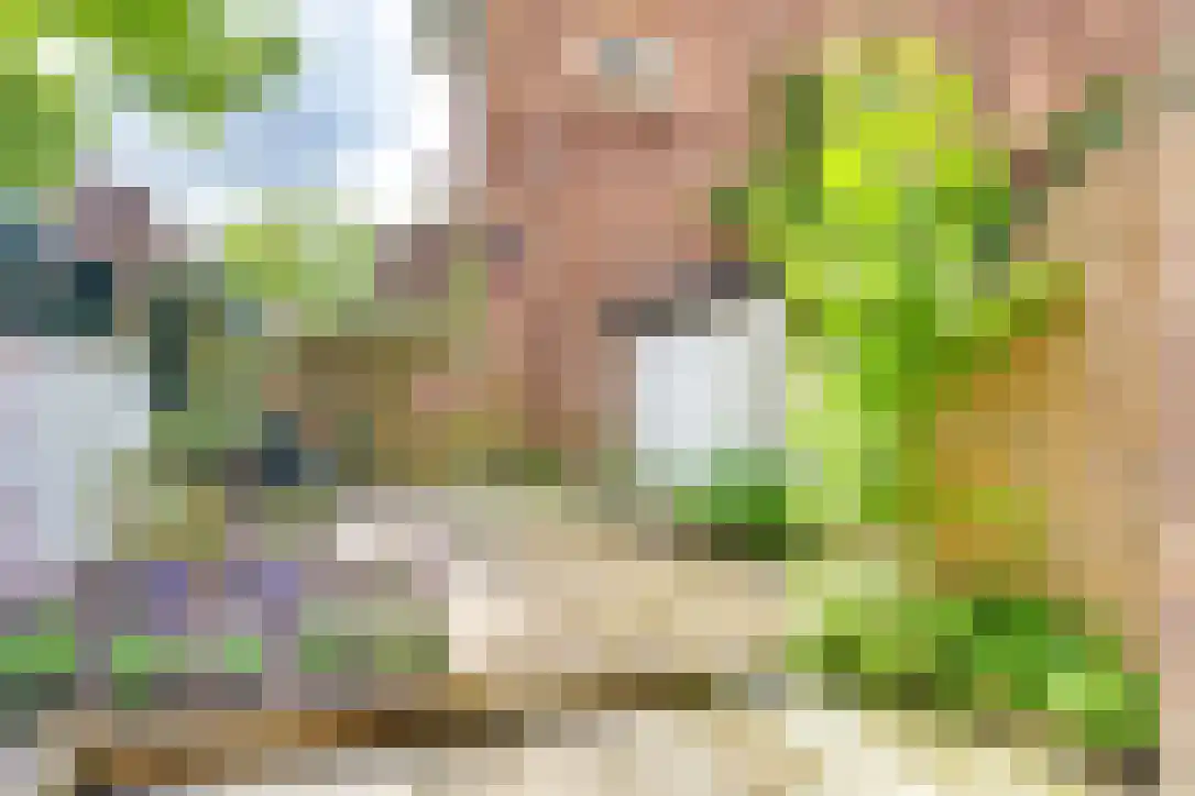 Van Brakelstraat 23 Utrecht thumbnail 31